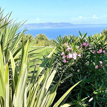 Luxury Panorama Vila With Amazing Seaview In Gondolici 7 Km From Rabac لابين المظهر الخارجي الصورة