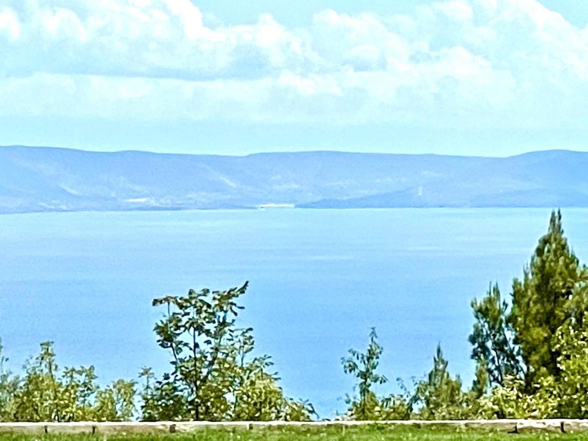 Luxury Panorama Vila With Amazing Seaview In Gondolici 7 Km From Rabac لابين المظهر الخارجي الصورة