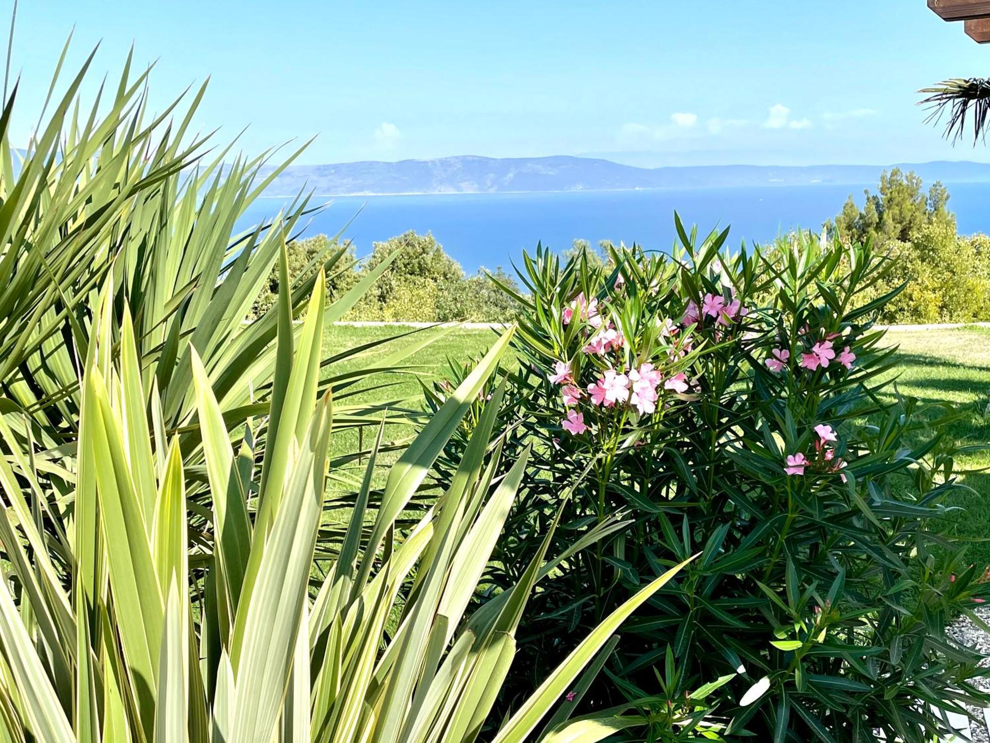 Luxury Panorama Vila With Amazing Seaview In Gondolici 7 Km From Rabac لابين المظهر الخارجي الصورة
